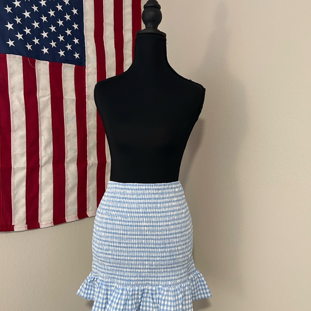 Blue Gingham Ruffle Skirt - Picture 3 of 3